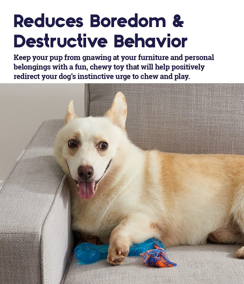 Petstages Orka Bone Royal Blue Treat-Dispensing Dog Chew Toy - Image 3